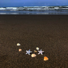 Load image into Gallery viewer, Star Fish Stud Earrings
