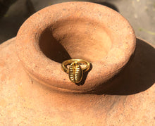 Load image into Gallery viewer, Cowrie Shell Ring
